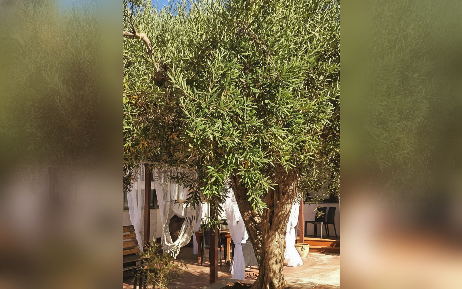 Villa Cloe · Villa indipendente per aziende e trasfertisti a Carini (PA), (Sicilia)